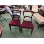 A set of eight Victorian balloon back dining chairs on turned front legs