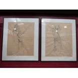 Two charcoal studies on paper depicting nudes, framed and glazed, 61cm x 48cm