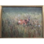 JOHN RYAN: An acrylic titled "Roe Deer" signed lower right, gilt framed, 42cm x 62cm