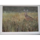 JOHN RYAN: An acrylic entitled "Brown Hare" signed lower right, framed, 48cm x 68cm