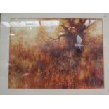 PAUL BROWN: A watercolour titled "Hunting Barn Owl" signed lower right, framed and glazed, 30cm x