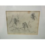 A Victorian pencil sketch of birds and spider's web, signed and dated lower right, framed and