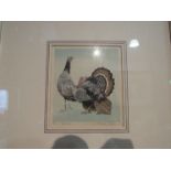 ARTHUR RIDGEN READ (1879-1955) A framed and glazed woodcut print titled 'Turkeys'. Pencil signed and
