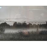 A photograph of Lopham fen, framed and glazed, 48cm x 68cm