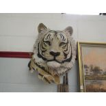 A modern resin wall mounting tiger head, damage to edge, 51cm long