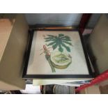 A collection of prints and engravings framed and unframed examples