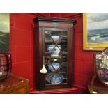 A George III mahogany wall hanging astragal glazed single door corner cabinet with working lock