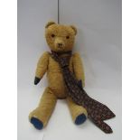 A 1940's wood shaving filled golden mohair jointed bear with blue pads, long snoutwith stitched nose