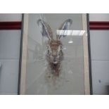 JOHN RYAN: An acrylic entitled "Hare", signed lower right, framed and glazed, 61cm x 39cm