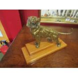 A late 19th Century polished brass sculpture of a tiger, mounted on a light oak stand, 23cm long