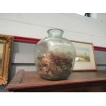 Two glass carboys including amber coloured example