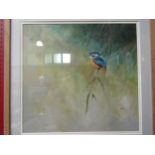 JOHN RYAN: An acrylic of a kingfisher, signed lower right, framed and glazed, 43cm x 45cm