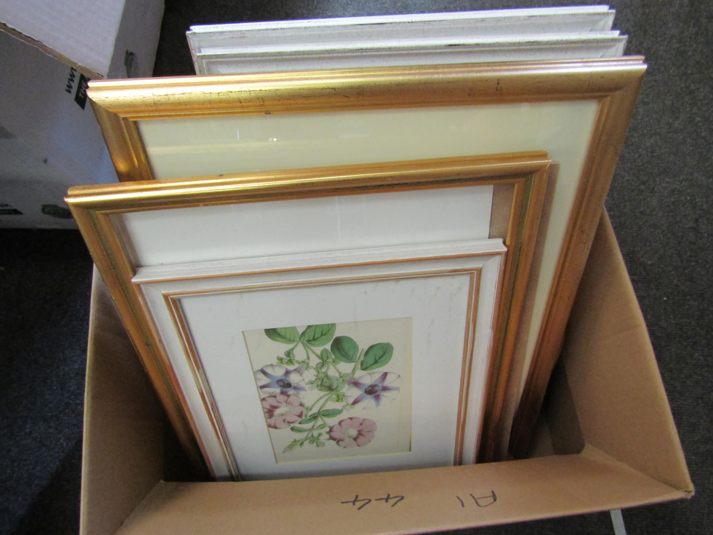 A selection of Botanical prints, landscapes etc.