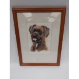 A watercolour depicting a boxer dog, signed lower right framed and glazed 25 x17.5cm