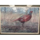 James Renny a limited edition signed print of a pheasant 298/500, framed and glazed, 42cm x 62cm