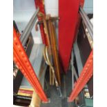A selection of walking sticks including dog head knop, horn handle and brass etc