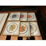 TONI HAYDEN (XX-XXI): Six proof prints depicting fruit on plates, framed and glazed, 27cm x 27cm