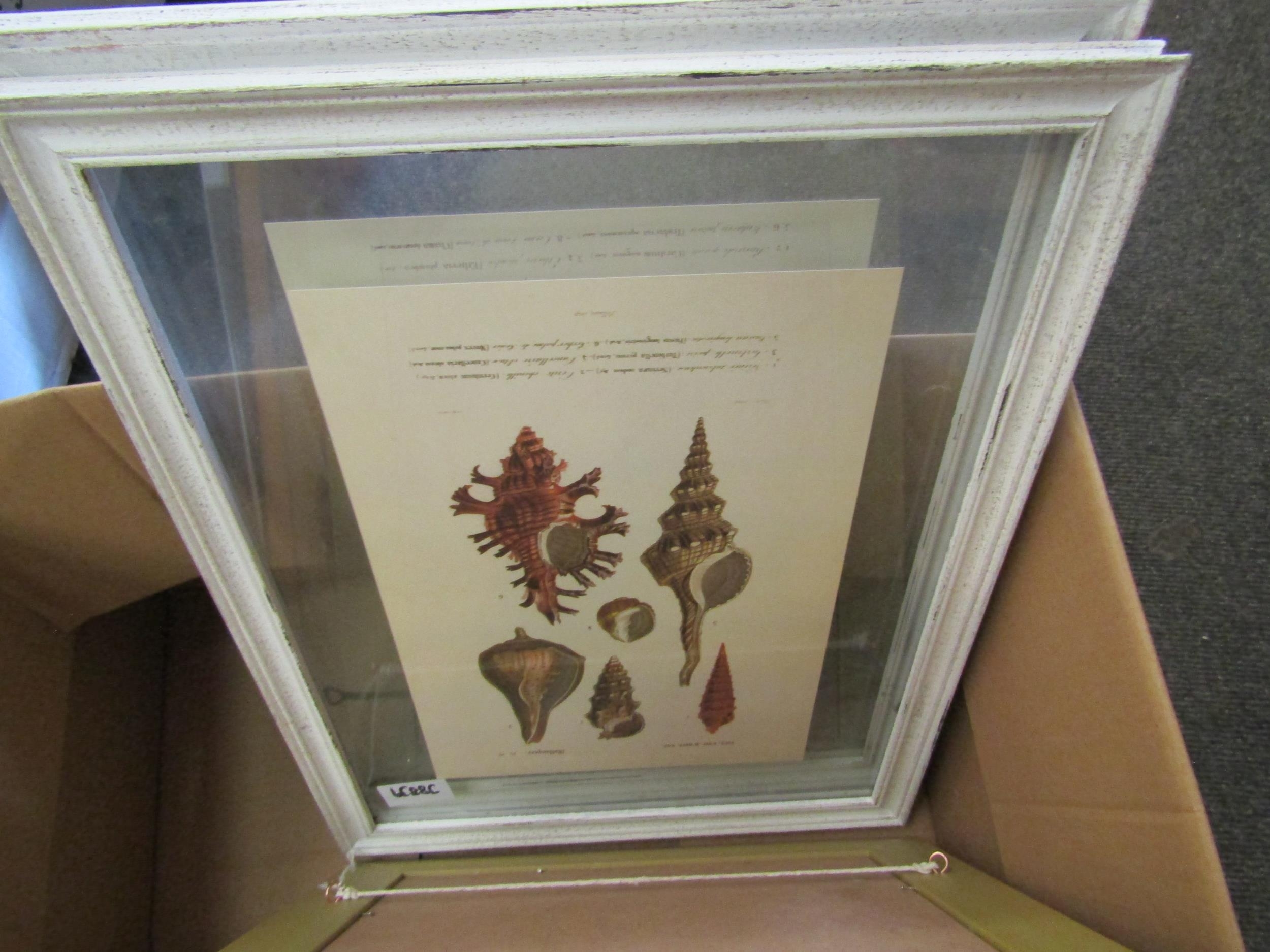 A selection of Botanical prints, landscapes etc. - Image 4 of 4