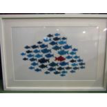 A print of a shoal of fish, framed and glazed, images size 38cm x 60cm