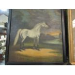 S. WAKEFIELD: White stallion standing near water edge, details verso, dated 1955, 43cm x 40cm