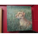 JOHN RYAN: An acrylic on canvas of a labrador in tall grass, signed lower right, 40cm x 40cm