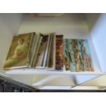 A small quantity of postcards to include continental topographical views, France, Egypt, mainly