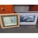Six framed and glazed Jeremy Paul pencil signed limited edition prints of basking sharks, dolphins