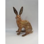 A Winstanley hare No.9, a/f, 39cm high