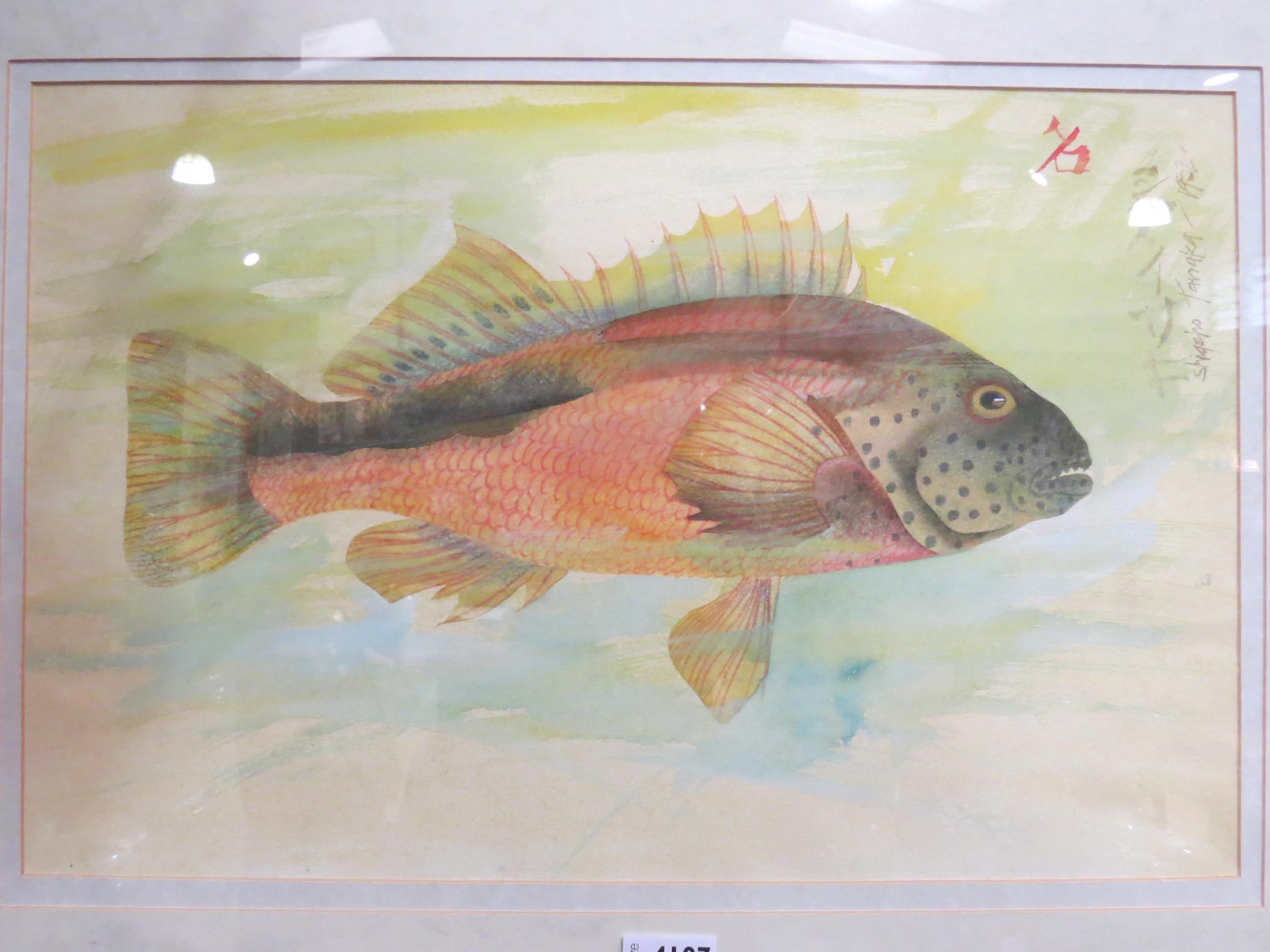 SHIGEHO TANAKA: A watercolour depicting a trout, signed and dated 1952, framed and glazed, 33cm x