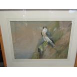 ROLAND GREEN (1890-1972): A framed and glazed watercolour of a Peregrine Falcon on rocks. Signed