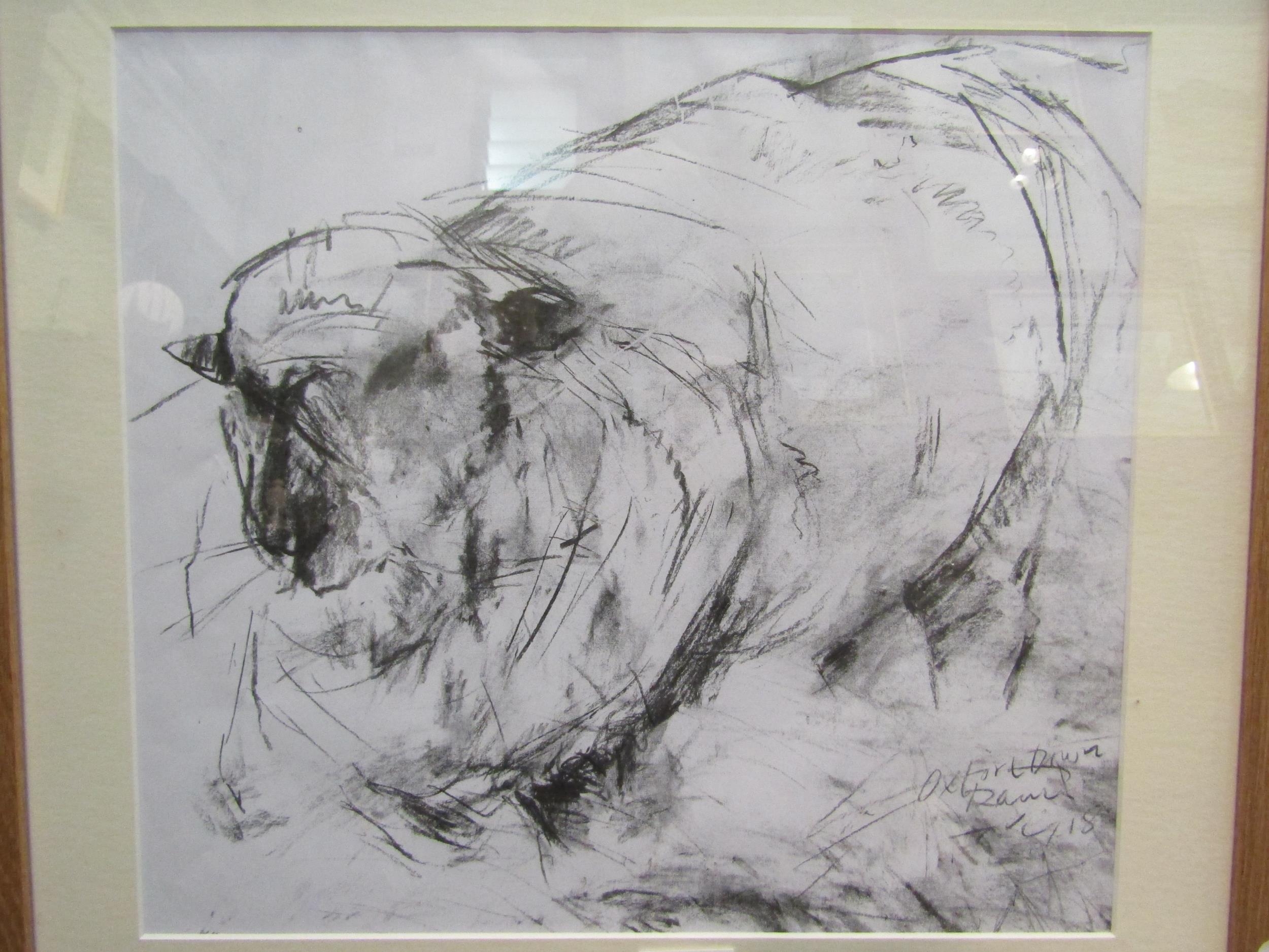 TERRY COPPIN (b. 1939 Norfolk artist): A framed and glazed charcoal on paper, Oxford Down Sheep.