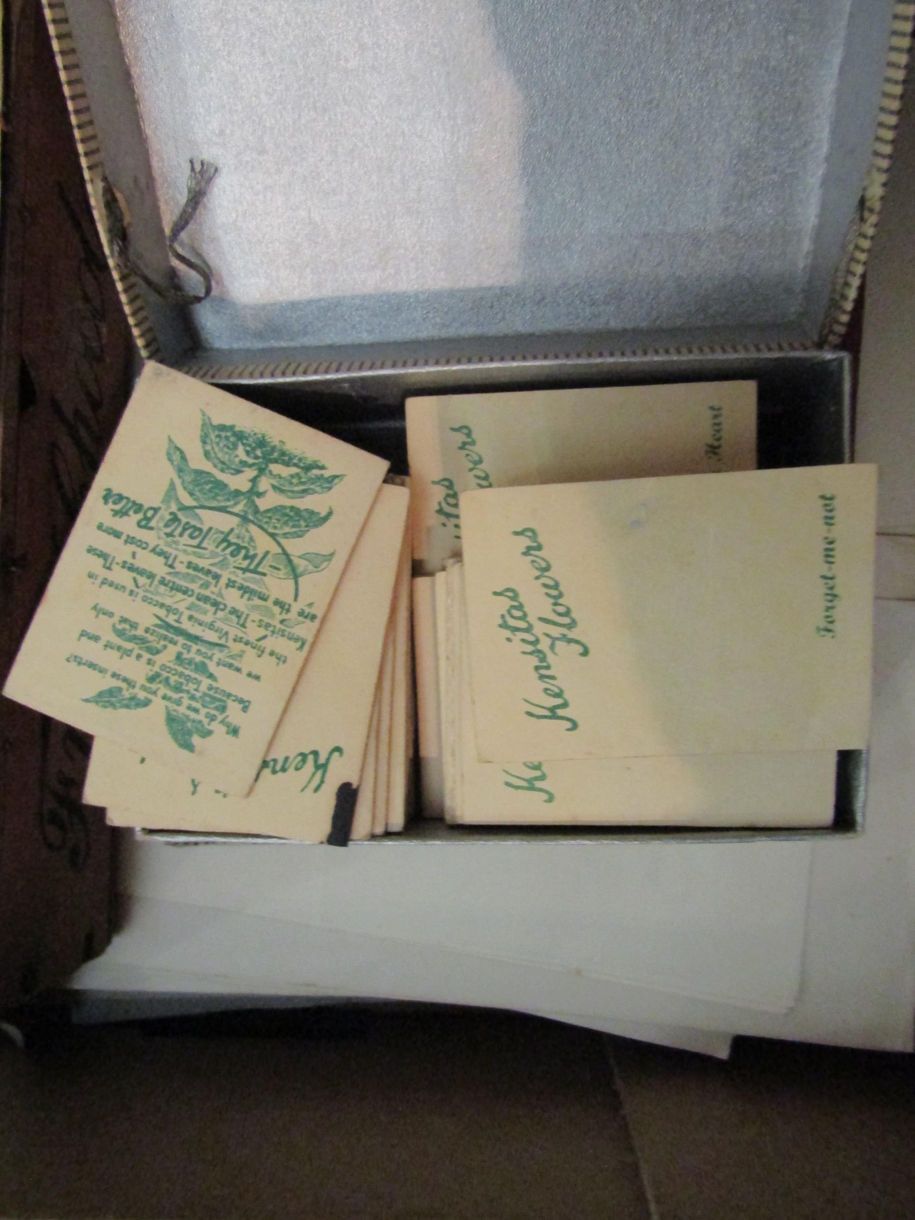 Two boxes containing two postcard albums, one containing mainly Continental examples, the other - Image 2 of 5