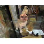 A Winstanley seated pug with glass eyes, No. 2 to base 16cm high