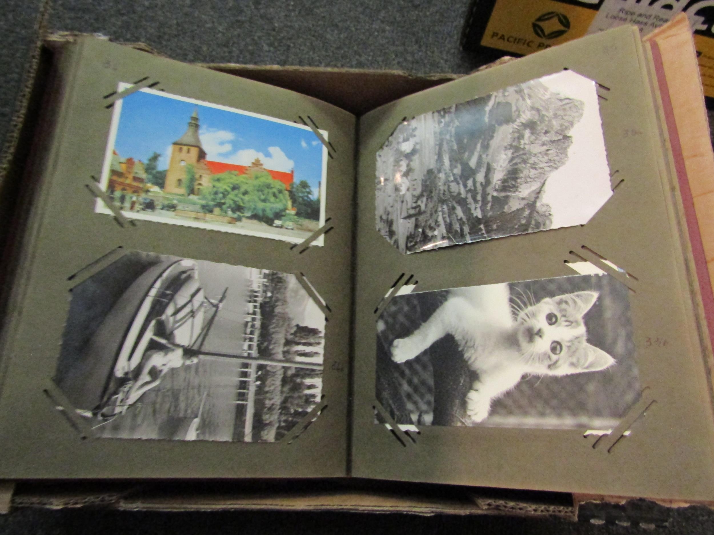 Two boxes containing two postcard albums, one containing mainly Continental examples, the other - Image 5 of 5