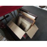 A box containing assorted watercolours, photographs, etchings of horses by the Riverside,