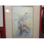 LORNA PANZENBOCK: "Hornbills", watercolour, signed lower right, framed and glazed. 49.5cm x 33cm