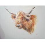 RYAN: Acrylic on canvas, a Highland bull, signed lower right, unframed, 57cm x 77cm