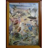 An R.McPhail coloured print "Impressions of Africa", framed and glazed, 55cm x 38cm