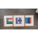 Three Denise Duplock framed original abstract art prints, signed. Image sizes 29.5cm x 20.5cm