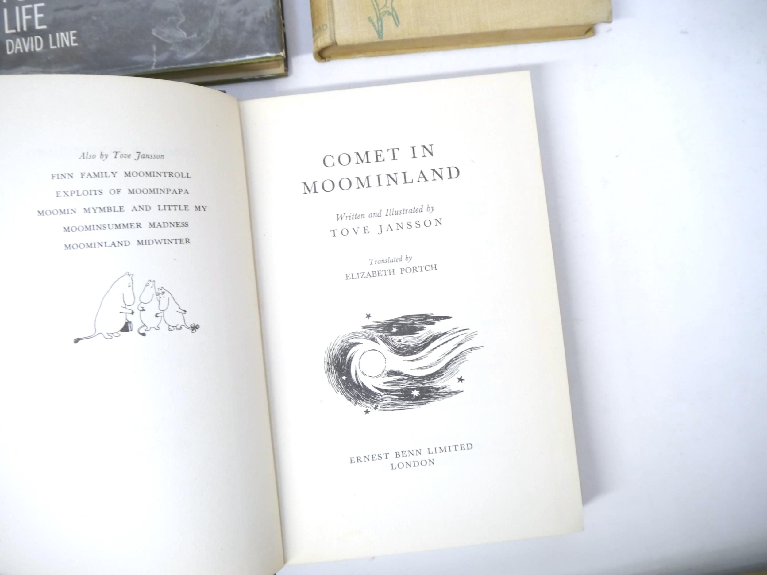 Fourteen various children's & illustrated titles, including Tove Jansson: 'Comet in Moominland', - Image 5 of 16