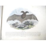 'Thirty Plates Illustrative of Natural History, with a Short Description Annexed to Each Plate. Part