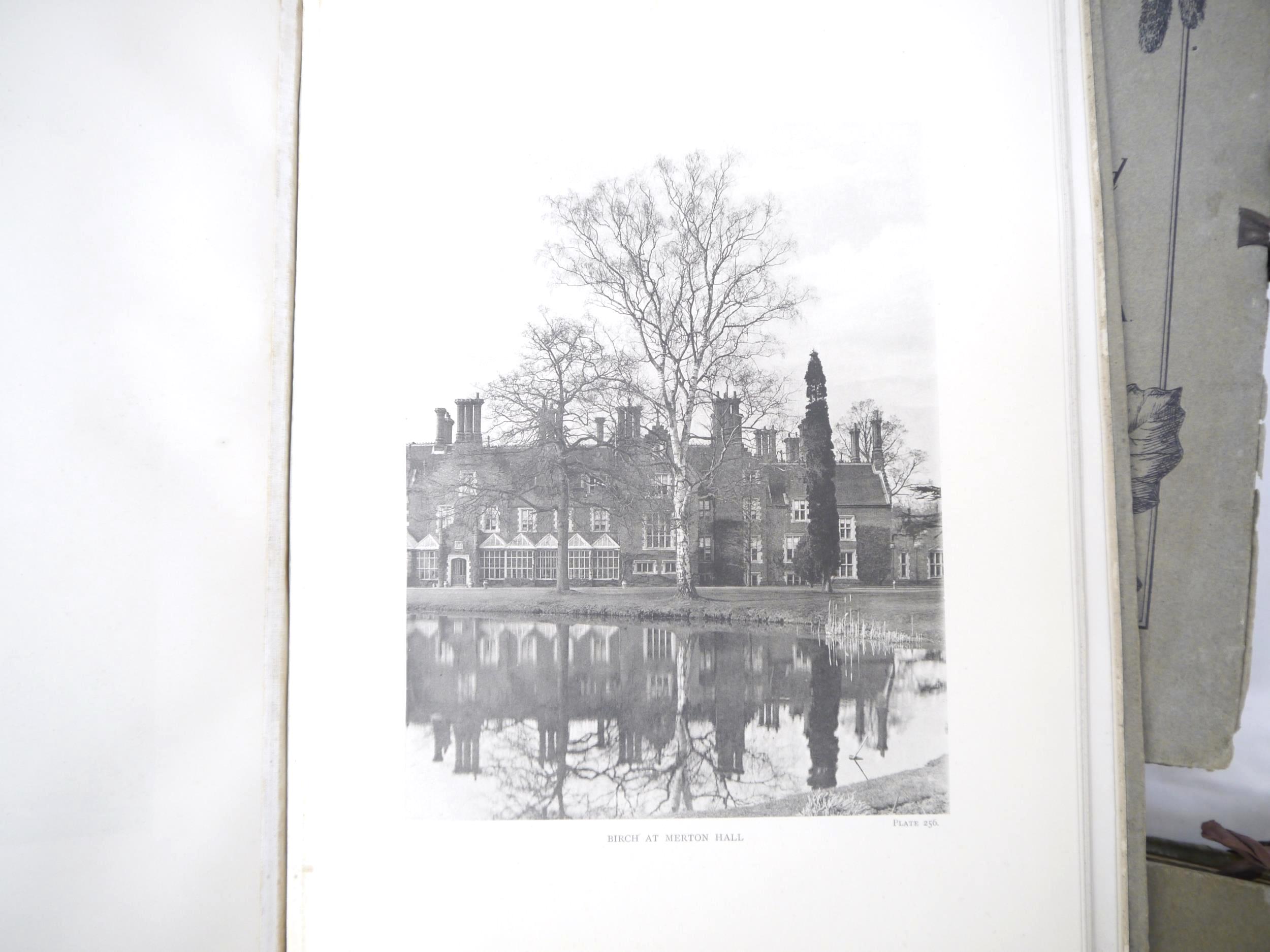 (Trees), Henry John Elwes & Augustine Henry: 'The Trees of Great Britain & Ireland', Edinburgh, - Image 25 of 41