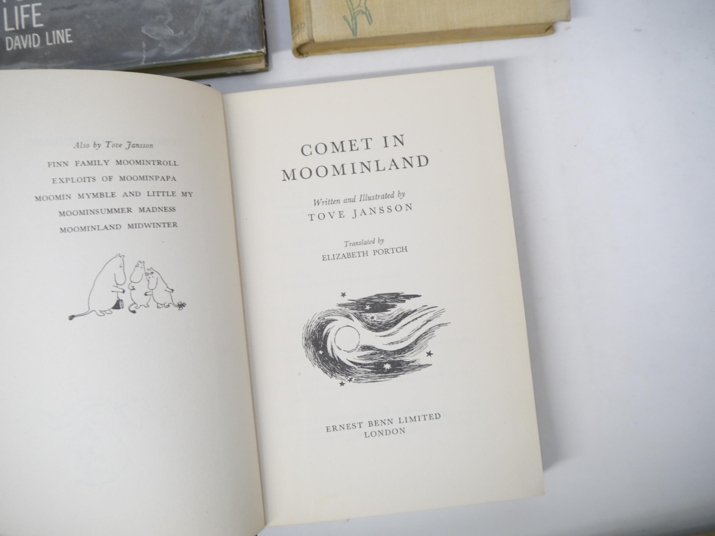 Fourteen various children's & illustrated titles, including Tove Jansson: 'Comet in Moominland', - Image 4 of 16