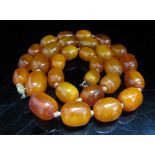 An amber bead necklace, 48cm long, 25.4g (clasp a/f)