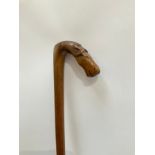 A carved walking cane with horse head handle, signed Kepkvpa, 81cm