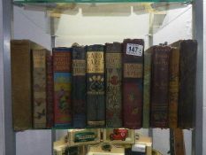 A selection of circa 1900 books.