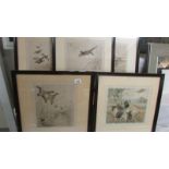 Five framed and glazed signed prints depicting hunting dogs and birds. Collect only.