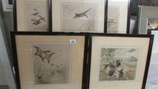 Five framed and glazed signed prints depicting hunting dogs and birds. Collect only.