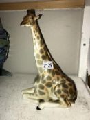 A large Russian Lomonosov porcelain giraffe - height 30cm