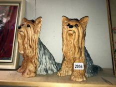 2 Beswick Yorkshire Terriers - Height 26.5cm (A/F on ear)